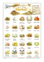 Natur-Bingo Herbst