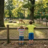 Zoo mit Kindern: So wird der Besuch wirklich schön