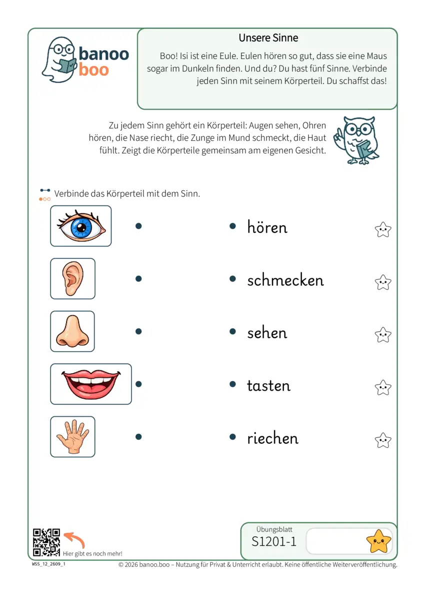 Unsere Sinne – Vorschau