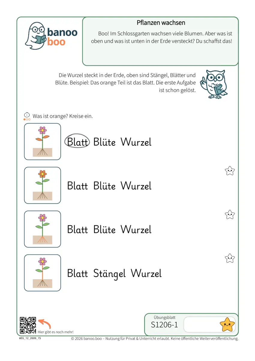 Pflanzen wachsen – Vorschau