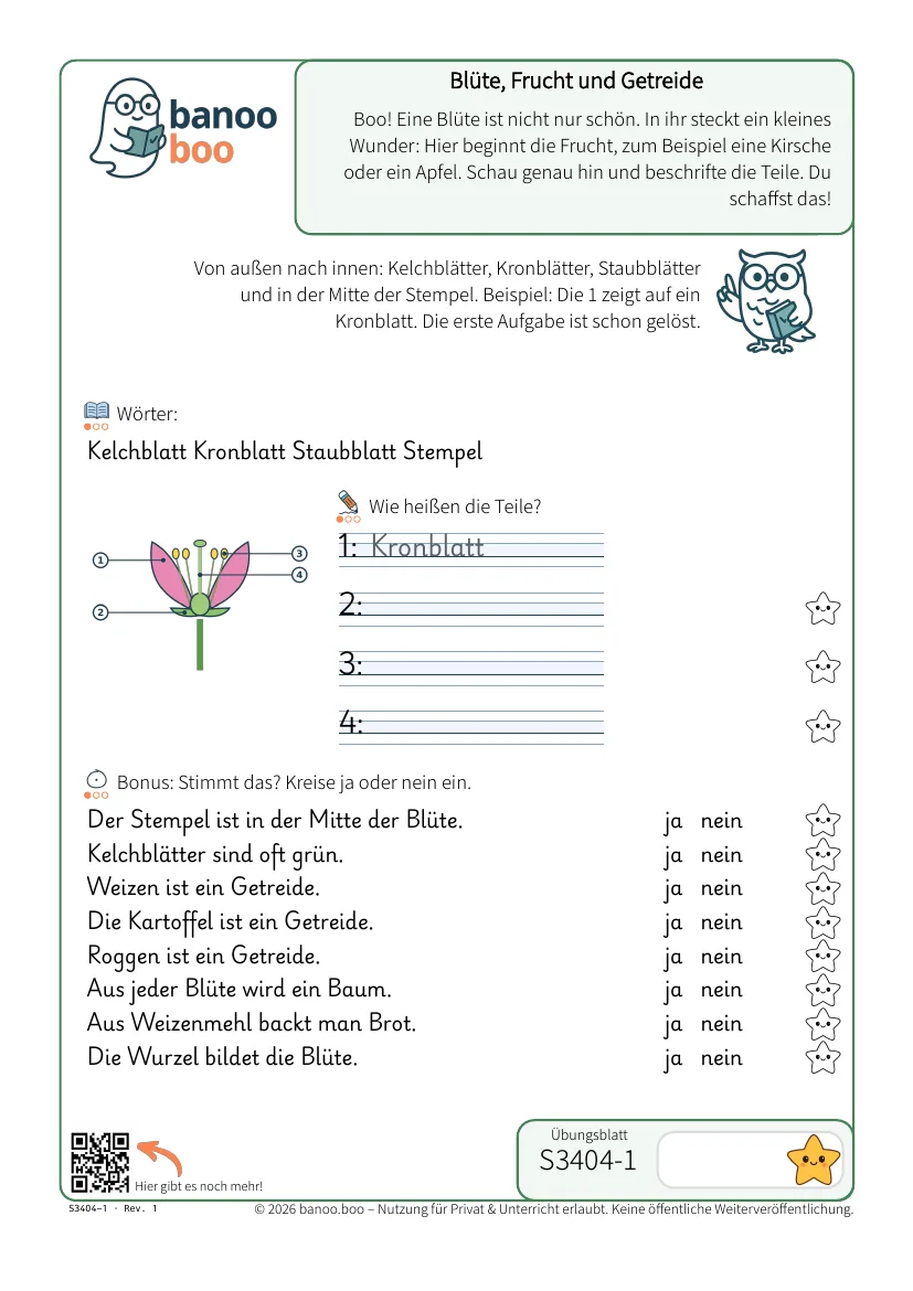 Vorschau: Blüte, Frucht und Getreide