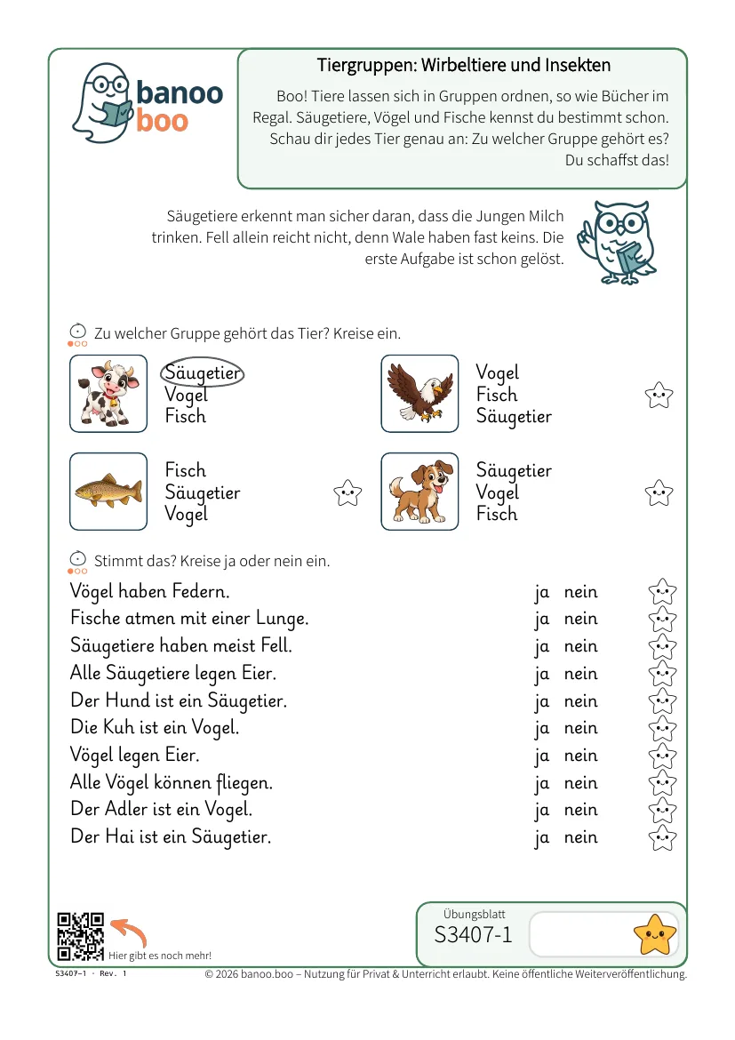 Tiergruppen: Wirbeltiere und Insekten – Vorschau